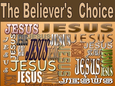 The Believer's  Choice (devotional)01-24 (brown)